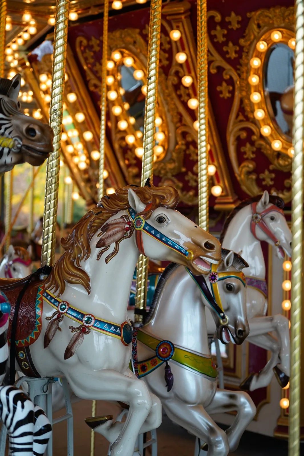 Vintage carousel horses at a Bergen County park — Maximus Visions
