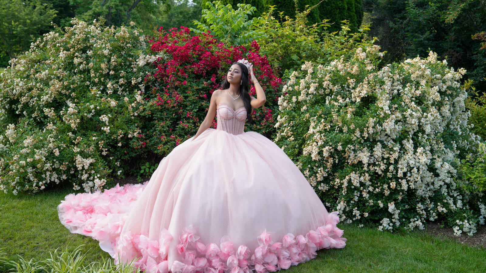 Quinceañera in a pink ball gown standing in front of red and white flowering shrubs